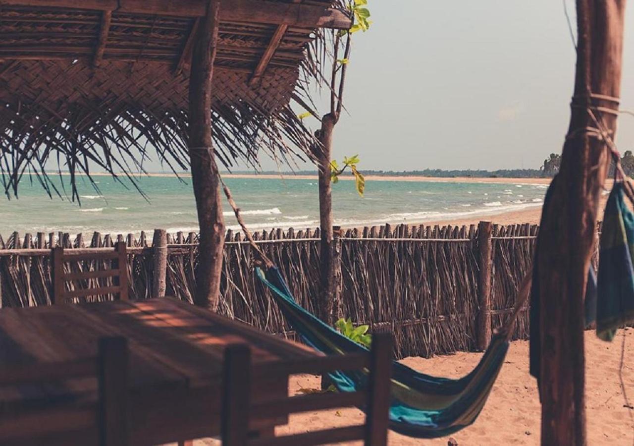 Surfpoint Sri Lanka Kite Village 칼피티야 외부 사진